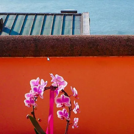 Отель Antares Градо